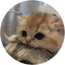 kaikai kai profile picture